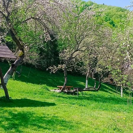 舍绍里Під Горою别墅 外观 照片