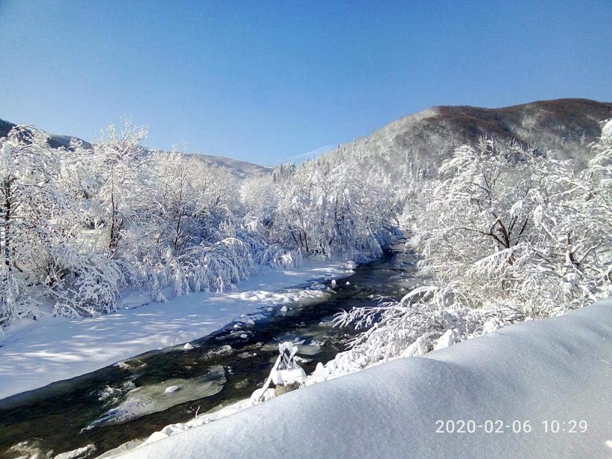 舍绍里Під Горою别墅 外观 照片