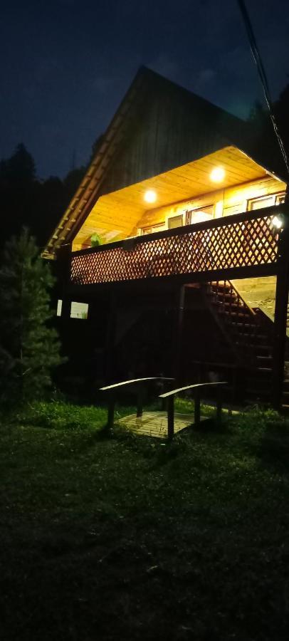 舍绍里Під Горою别墅 外观 照片