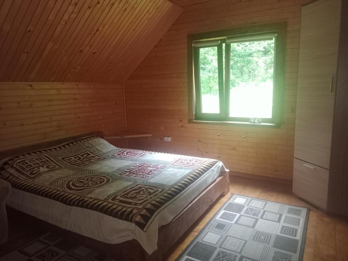 舍绍里Під Горою别墅 外观 照片