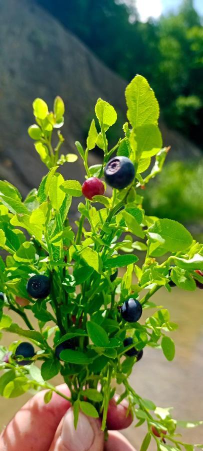 舍绍里Під Горою别墅 外观 照片