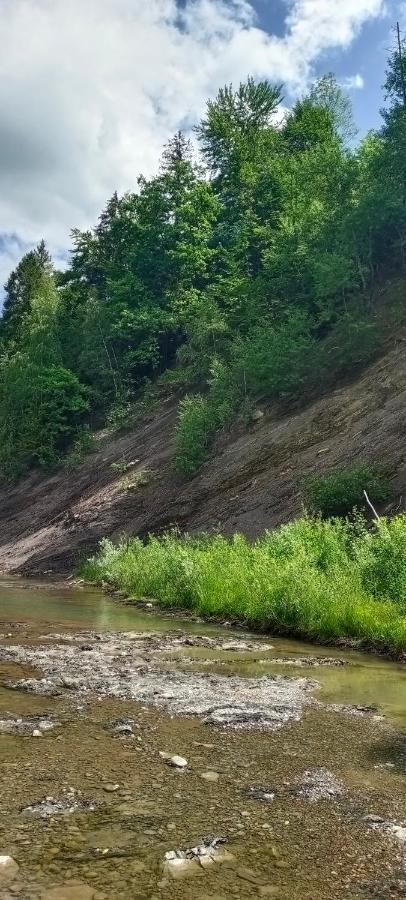 舍绍里Під Горою别墅 外观 照片