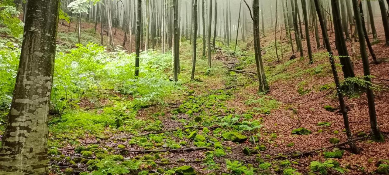 舍绍里Під Горою别墅 外观 照片