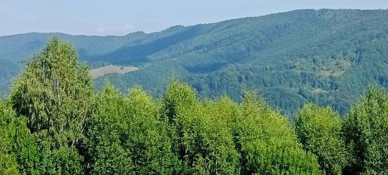 舍绍里Під Горою别墅 外观 照片