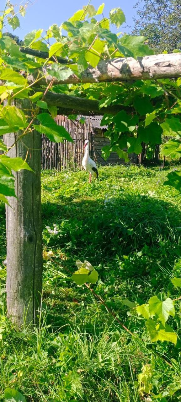 舍绍里Під Горою别墅 外观 照片
