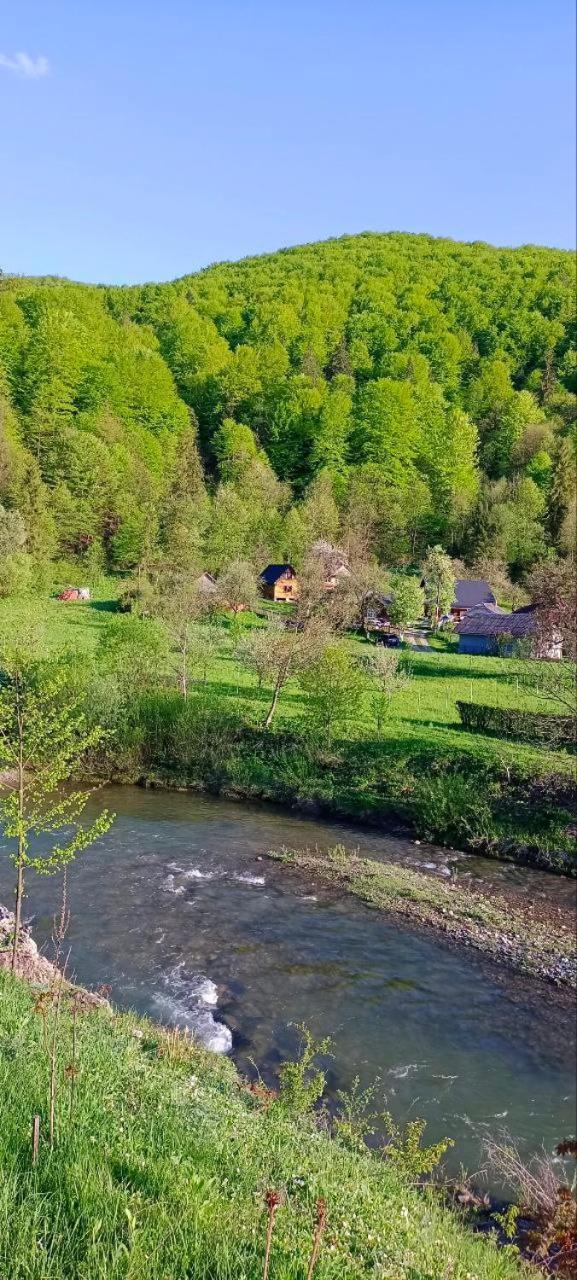 舍绍里Під Горою别墅 外观 照片