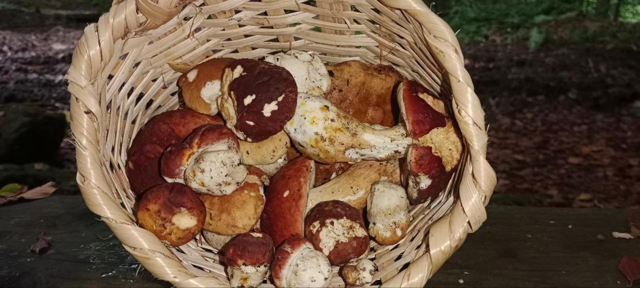 舍绍里Під Горою别墅 外观 照片