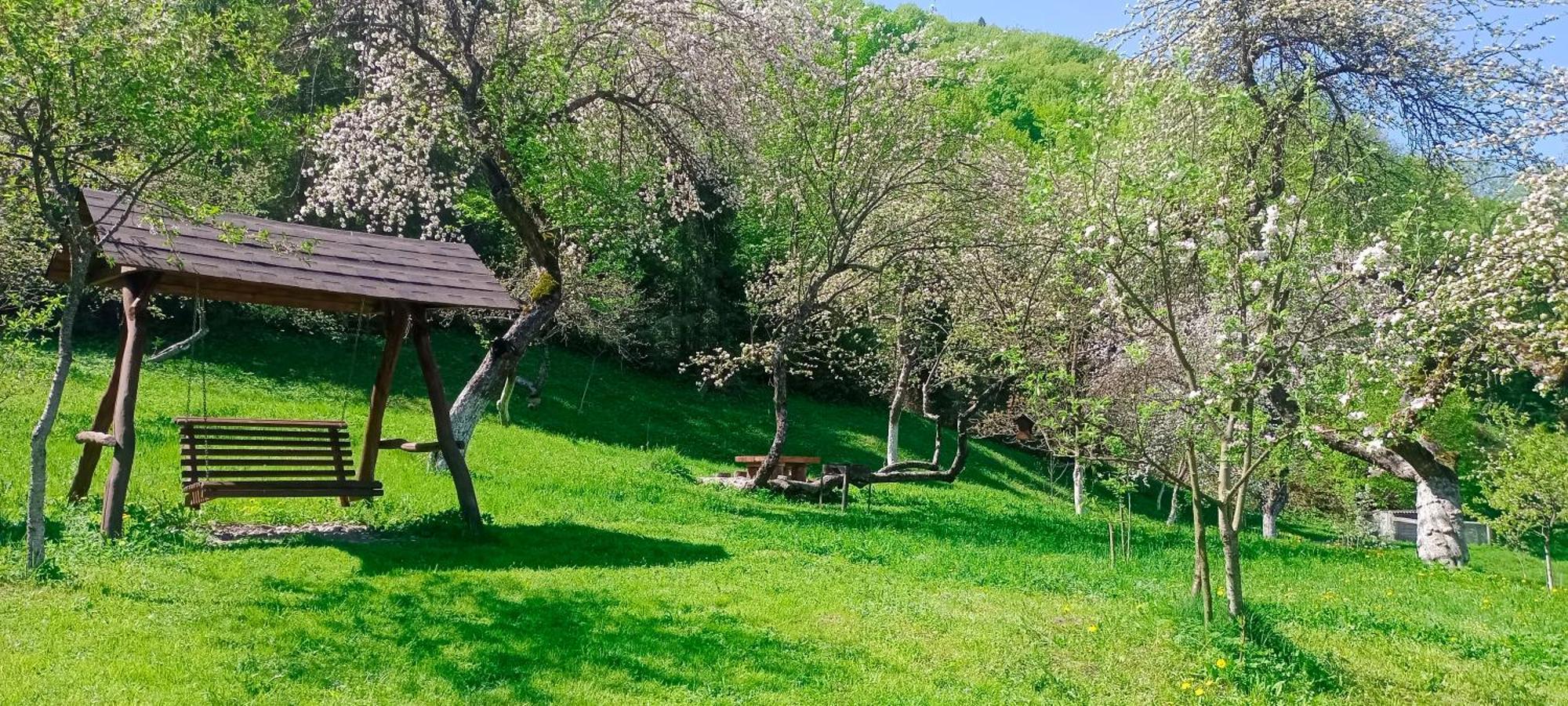 舍绍里Під Горою别墅 外观 照片