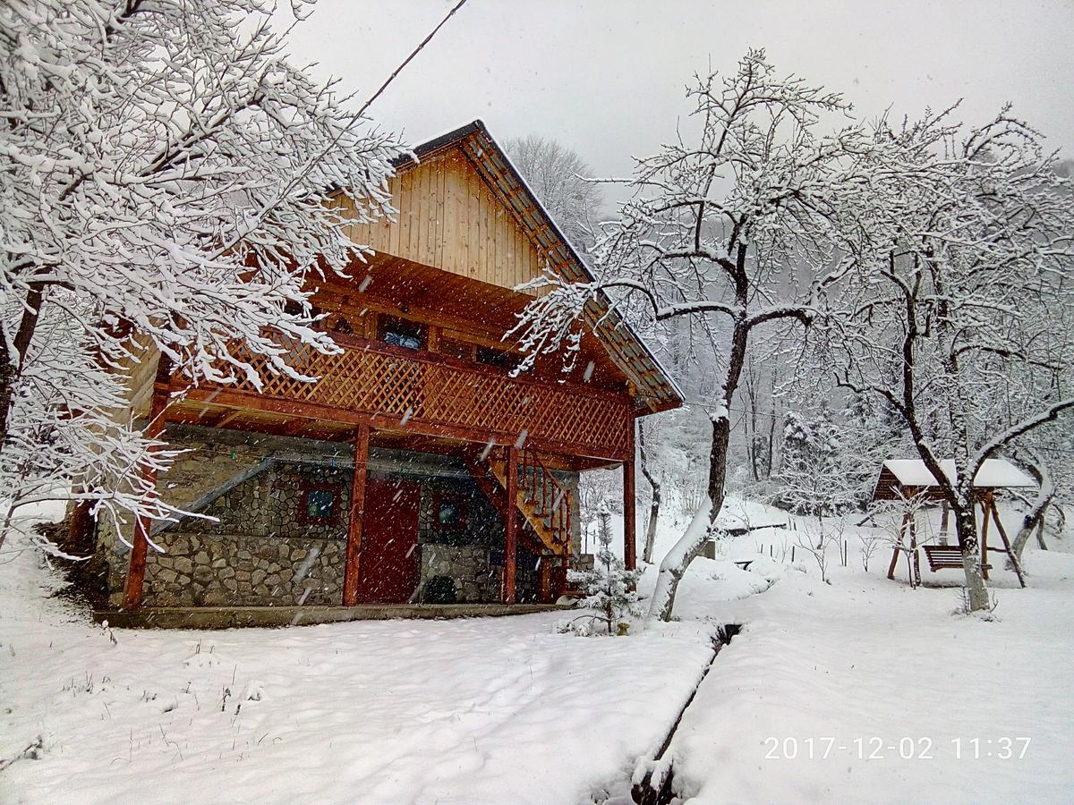 舍绍里Під Горою别墅 外观 照片