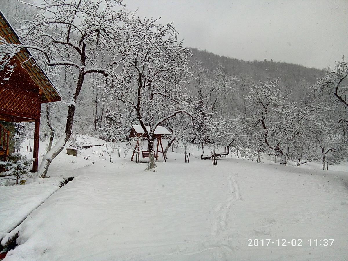舍绍里Під Горою别墅 外观 照片