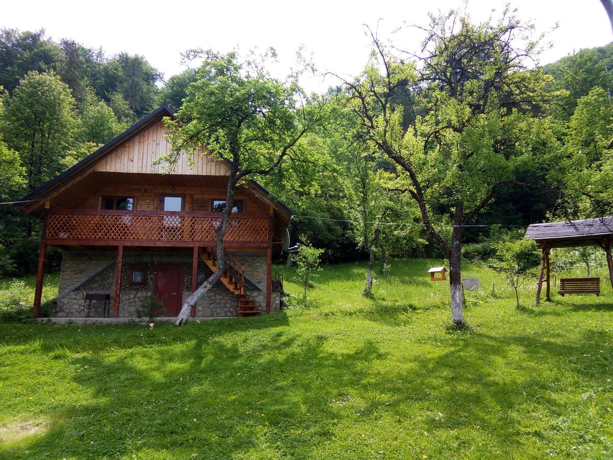 舍绍里Під Горою别墅 外观 照片